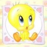 pic for Sweet Tweety
